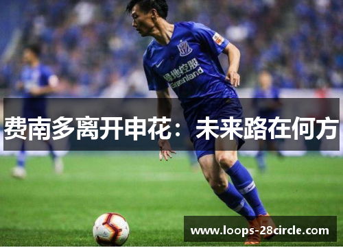 费南多离开申花：未来路在何方