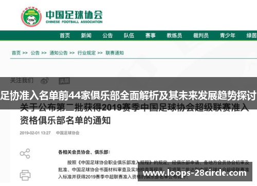 足协准入名单前44家俱乐部全面解析及其未来发展趋势探讨