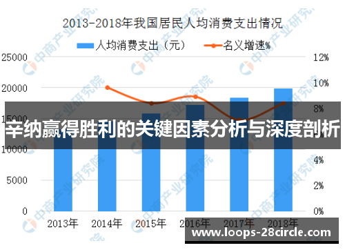 辛纳赢得胜利的关键因素分析与深度剖析