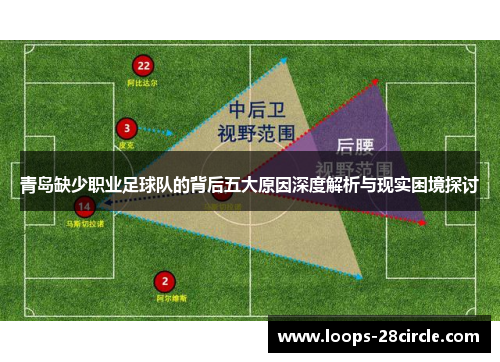 青岛缺少职业足球队的背后五大原因深度解析与现实困境探讨